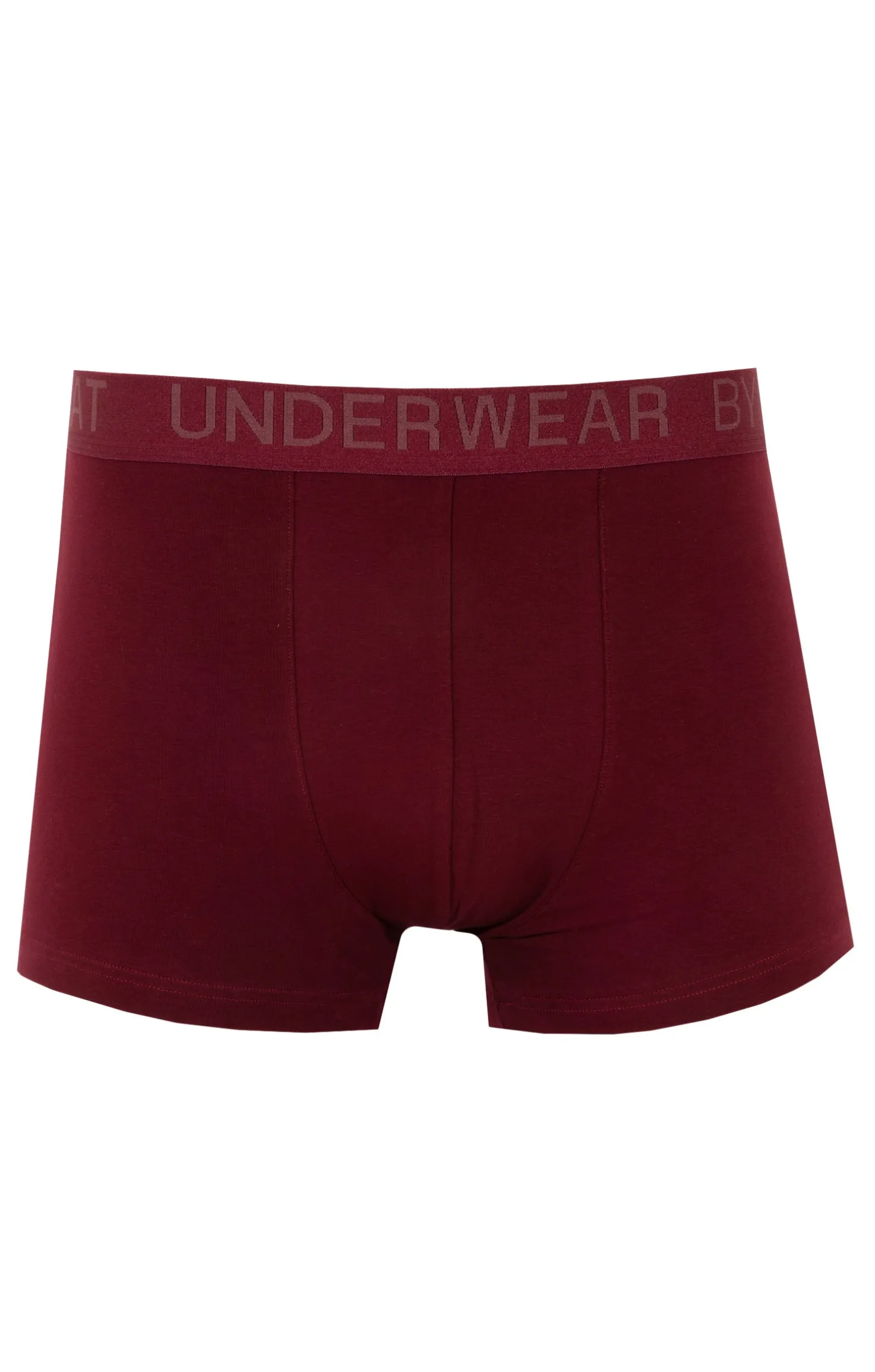 Armand Thiery Boxer Perfection - Bordeaux Best